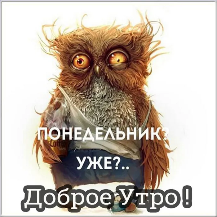 Красивые открытки и картинки Добрым утром понедельника.