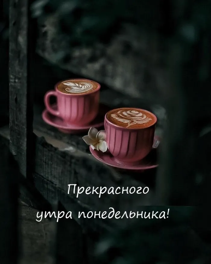Красивые открытки и картинки Добрым утром понедельника.
