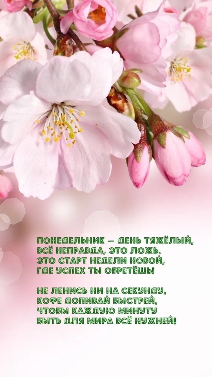 Красивые открытки и картинки Добрым утром понедельника.