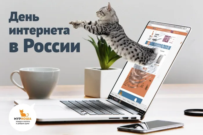 Картинки и открытки с Днем интернета в России (95 изображений). Красивые открытки с Днем интернета в России