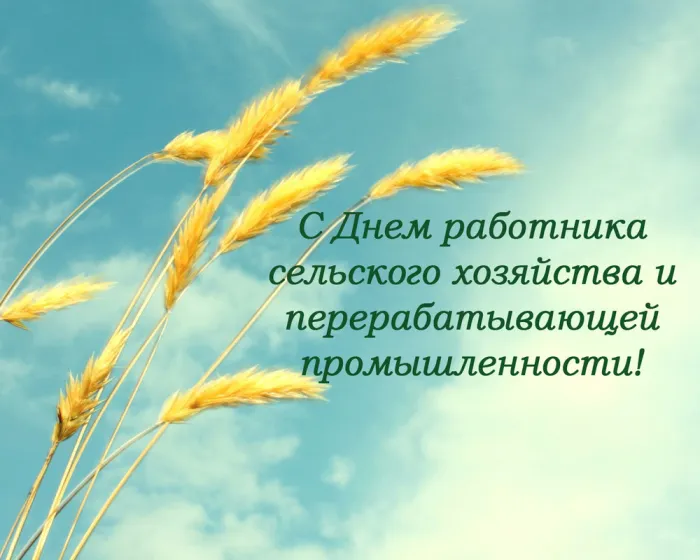 Картинки и открытки с Днем работника сельского хозяйства. Красивые открытки с Днем работника сельского хозяйства и перерабатывающей промышленности