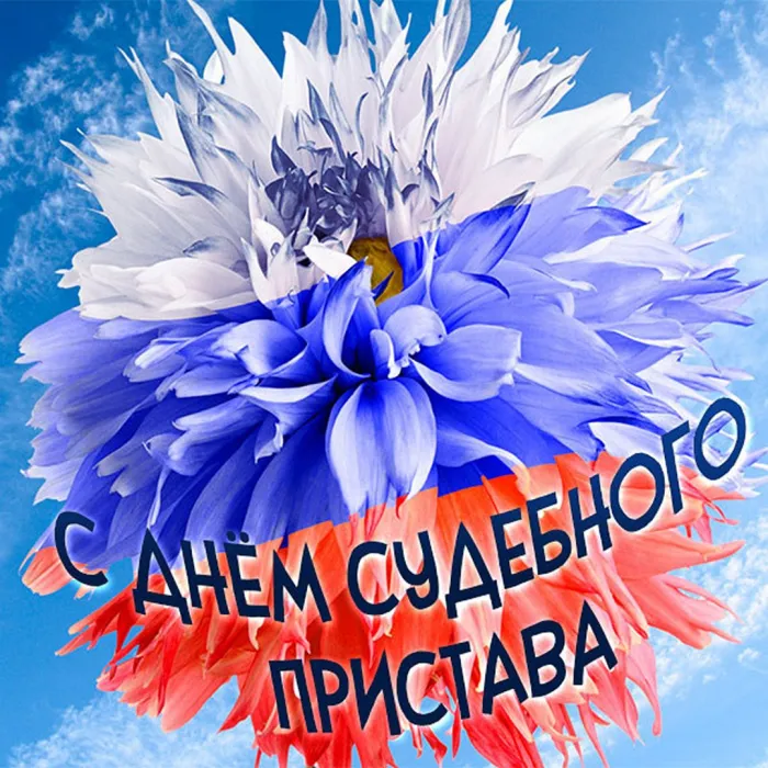Картинки и открытки с Днем судебного пристава. Картинки с поздравлениями с Днем судебного пристава