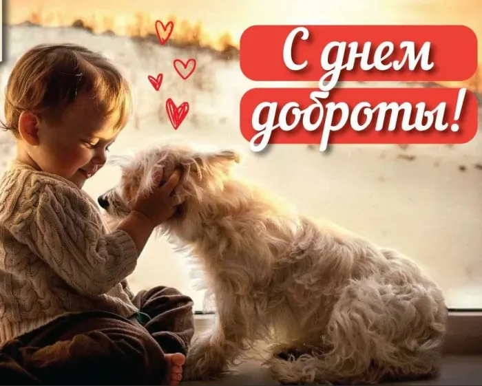 Картинки и открытки с Днем доброты. Красивые открытки с Днем доброты