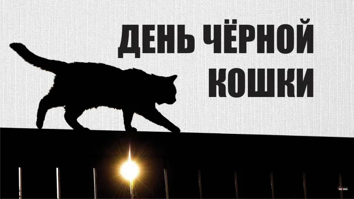 Картинки и открытки с Днем черной кошки. Красивые картинки с Днем черной кошки