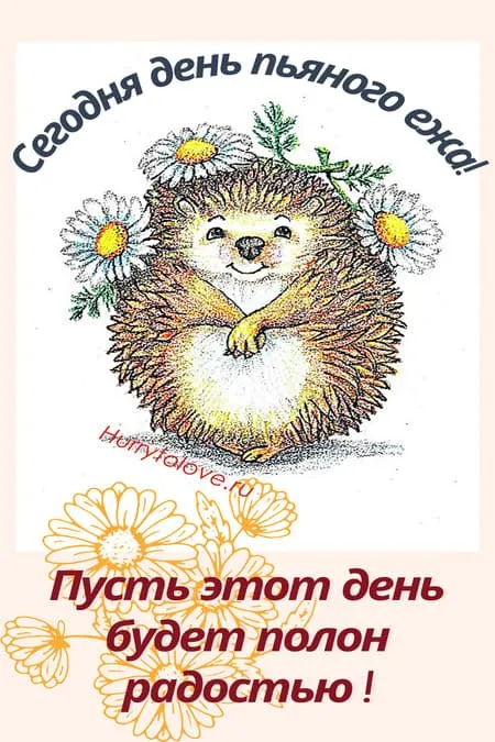 День пьяного ёжика. День пьяного ёжика - прикольные картинки